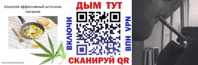 как найти закладки  Болгар  Cannafood конопля 