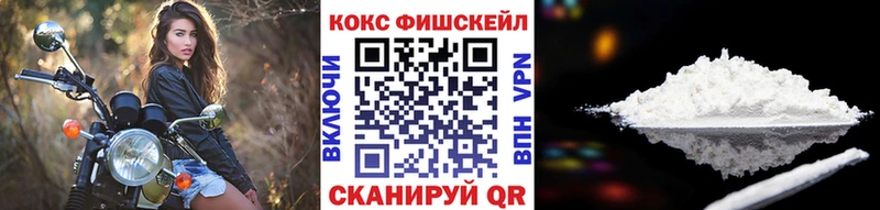 закладки Болгар COCAIN Боливия