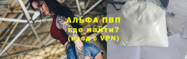 ГАЛЛЮЦИНОГЕННЫЕ ГРИБЫ Белокуриха