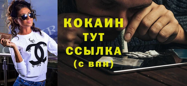 кокс Богородицк