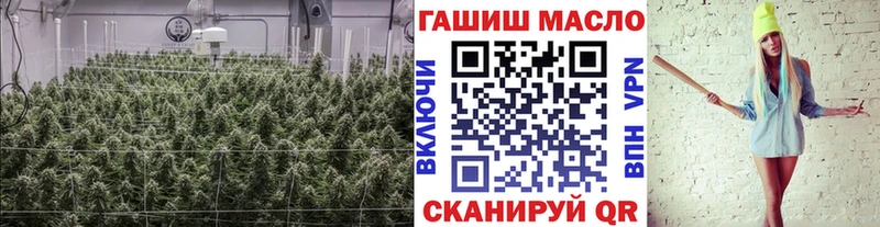 купить  цена  Болгар  ТГК жижа 