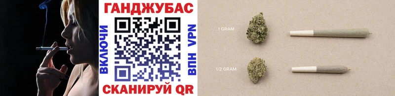 Бошки Шишки семена  закладка  Болгар 